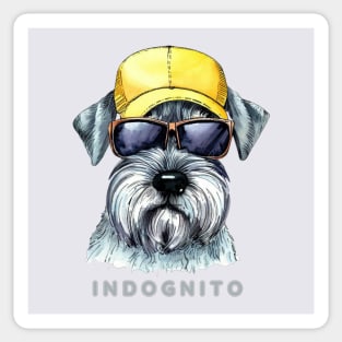 Schnauzer Indognito Sticker